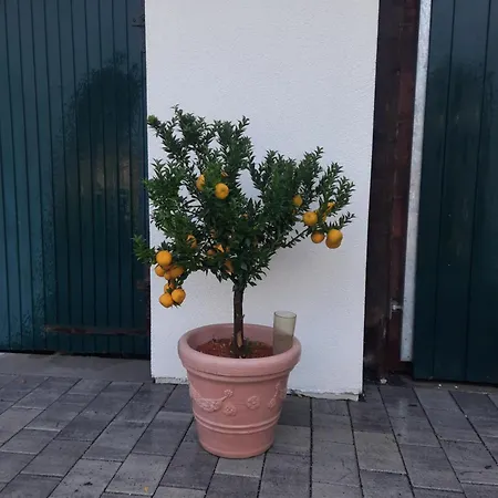 4 Personen 아파트