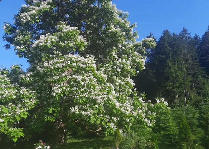 4 Personen Damtschach