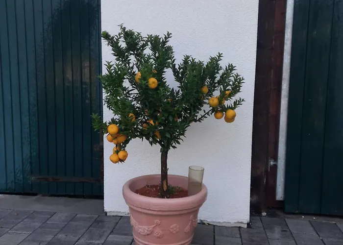 4 Personen Apartament